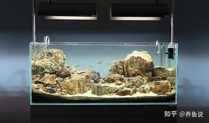 超白玻璃魚缸和浮法玻璃魚缸的區(qū)別：浮法玻璃魚缸和超白玻璃魚缸的養(yǎng)護技巧包括水質(zhì)管理 魚缸百科 第1張