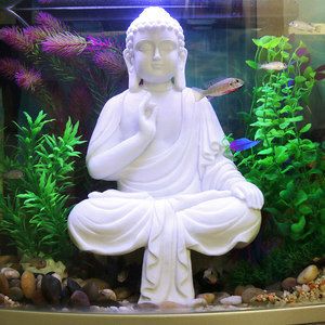 水族箱造景藝術(shù)佛像擺件：佛像與魚(yú)缸如何搭配 魚(yú)缸百科 第3張