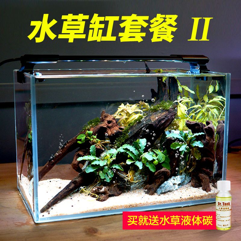 購買小魚缸水草需要注意以下幾點，選擇適合小魚缸水草：如何選擇一個適合的小魚缸水草 魚缸百科 第4張