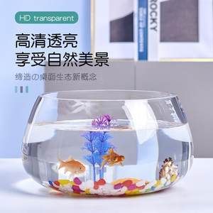 高端品牌魚缸排名及牌子：水族箱材質(zhì)探秘水族箱材質(zhì)探秘水族箱材質(zhì)探秘水族箱 魚缸百科 第4張