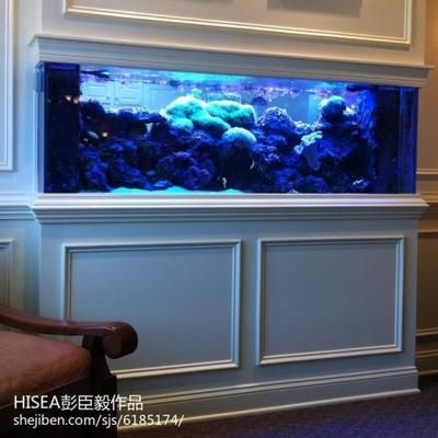 淡水魚缸改造成海水魚缸的注意事項：淡水魚缸如何改造成海水魚缸 魚缸百科 第3張