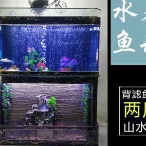 給魚缸換水導(dǎo)致魚死亡的原因有哪些：給魚缸換水導(dǎo)致魚兒死亡的原因 魚缸百科 第4張