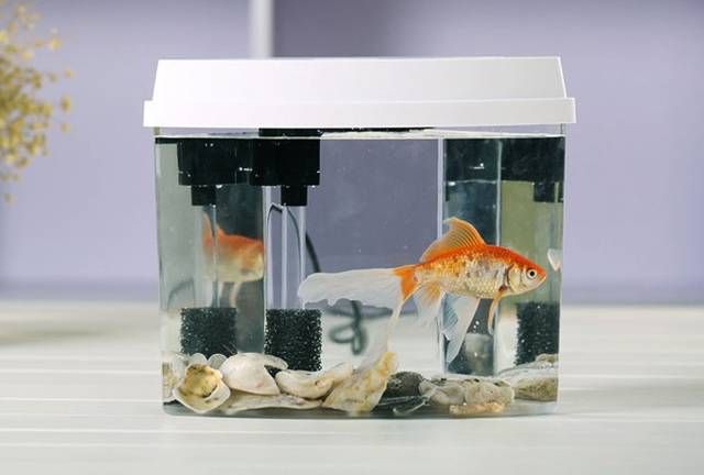 水族器材品牌有哪些？：國(guó)內(nèi)知名的魚缸品牌有哪些？ 魚缸百科 第2張