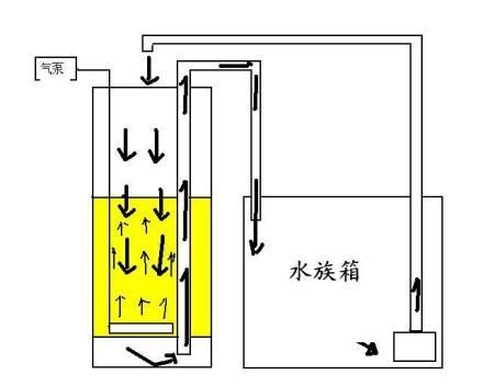 魚缸生態(tài)系統(tǒng)的構(gòu)建了解魚缸生態(tài)系統(tǒng)的基本構(gòu)成的基本構(gòu)成：關(guān)于反氣舉魚缸效果圖的問題 魚缸百科 第1張