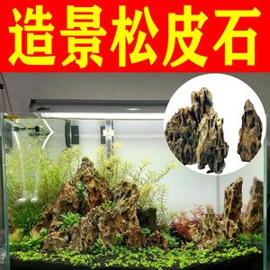 魚缸造景技巧與疾病預(yù)防養(yǎng)護(hù)技巧和疾病預(yù)防知識(shí)：如何選擇適合自己的魚缸 魚缸百科 第3張