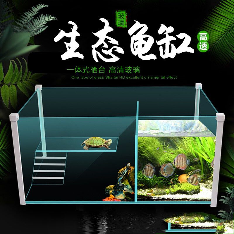 觀賞魚混養(yǎng)的心理學混養(yǎng)觀賞魚的心理學混養(yǎng)的心理學混養(yǎng)：混養(yǎng)觀賞魚的心理學 魚缸百科 第4張