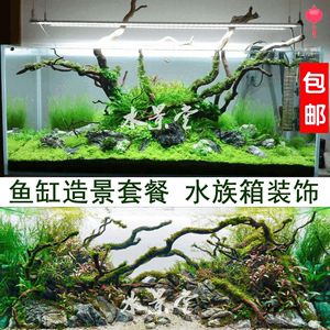 杜鵑根造景的價(jià)格是多少：廣州市荔灣區(qū)魚心水族店水族用品  魚缸百科 第2張