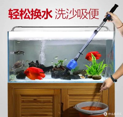 魚缸水質(zhì)管理的藝術(shù)：觀景魚缸水質(zhì)的管理 魚缸百科 第1張