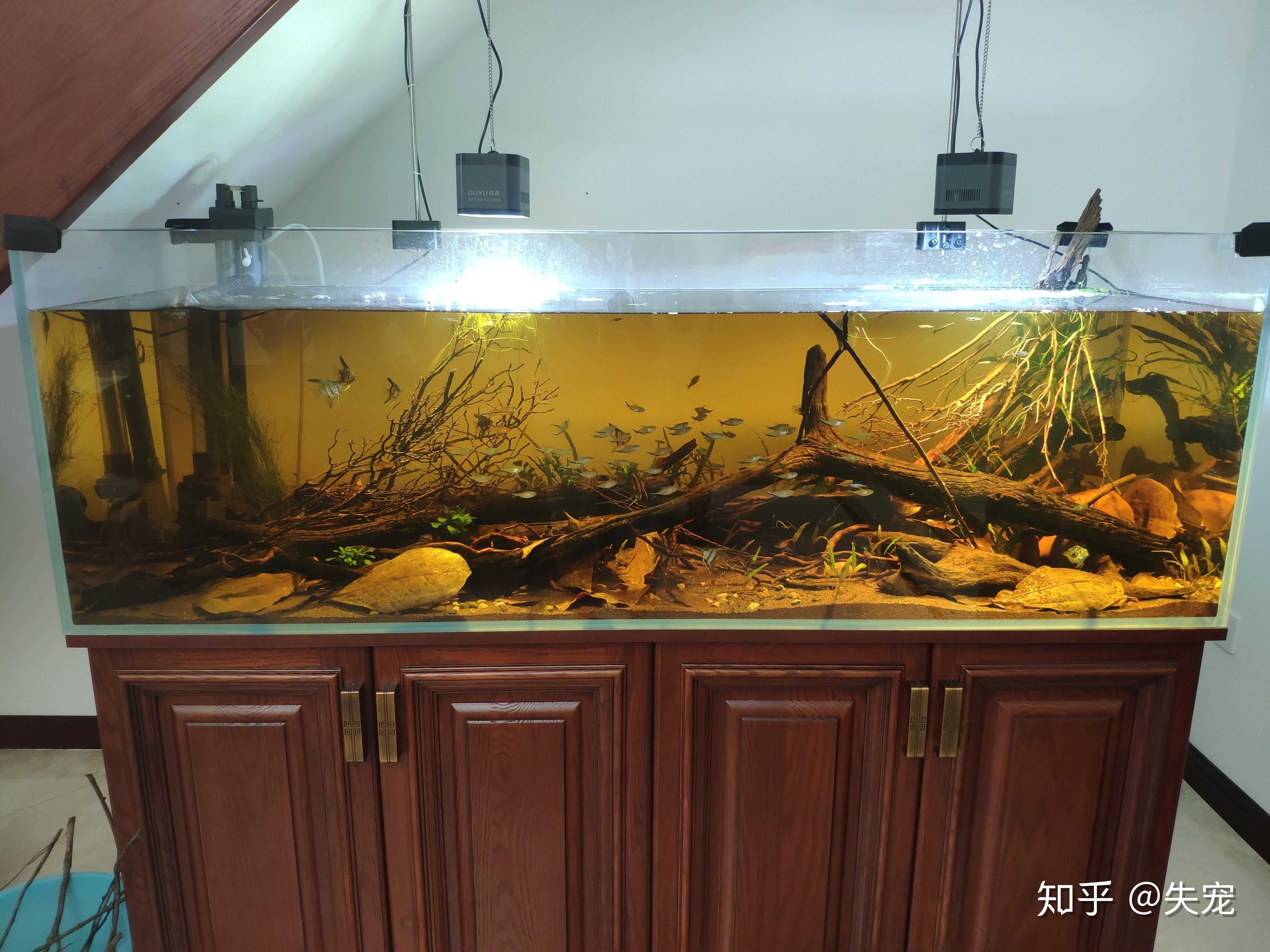 底濾魚缸底濾魚缸品牌排行榜京東5.底濾魚缸排行榜：什么牌子的底濾魚缸好 魚缸百科 第4張