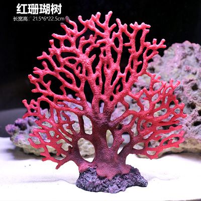 紅珊瑚魚缸造景效果圖珊瑚礁生態(tài)揭秘珊瑚礁生態(tài)揭秘：珊瑚礁生態(tài)揭秘 魚缸百科 第1張