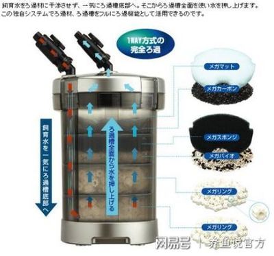 底濾魚缸水渾濁的處理方法：底濾魚缸水渾濁可能是由于多種原因引起的，包括物理性和生物性渾濁 魚缸百科 第4張