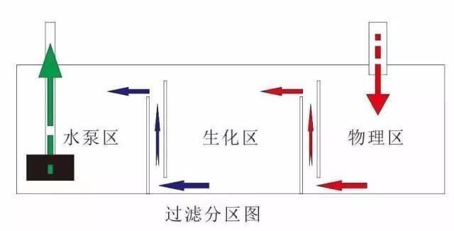 魚缸漂浮物過濾不出去的原因及解決方法及解決方法：底濾魚缸漂浮物過濾不出去的原因及解決方法 魚缸百科 第3張