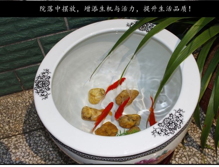 魚(yú)缸擺放風(fēng)水學(xué)中的魚(yú)缸擺放位置和方位密切相關(guān)禁忌：魚(yú)缸擺放在什么位置好 魚(yú)缸百科 第1張