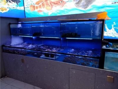 禹州市海中王魚缸怎么樣：禹州市海中王水族用品店 魚缸百科 第1張