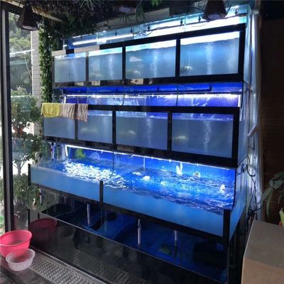 禹州市海中王魚缸怎么樣：禹州市海中王水族用品店 魚缸百科 第3張