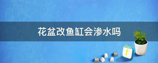 花盆改魚缸的技巧：花盆改造魚缸的技巧 魚缸百科 第3張