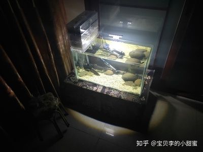 海景坊魚缸過濾系統(tǒng)的構(gòu)建原理和操作方法和優(yōu)化方法：led燈在魚缸中的作用 魚缸百科 第1張