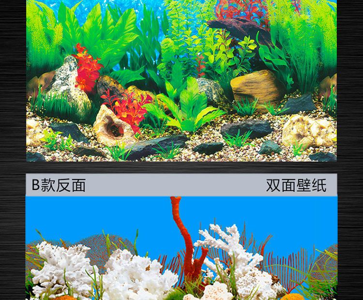 高端魚缸背景畫高清貼紙圖推薦：幾款高端魚缸背景畫高清貼紙圖 魚缸百科 第1張