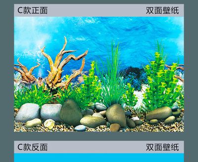 高端魚缸背景畫高清貼紙圖推薦：幾款高端魚缸背景畫高清貼紙圖 魚缸百科 第4張