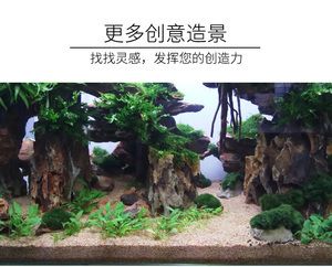 底濾魚缸造景、紀(jì)念一下景吧】百度貼吧魚缸造景方法：底濾魚缸石頭造景、紀(jì)念一下景吧】百度貼吧 魚缸百科 第1張