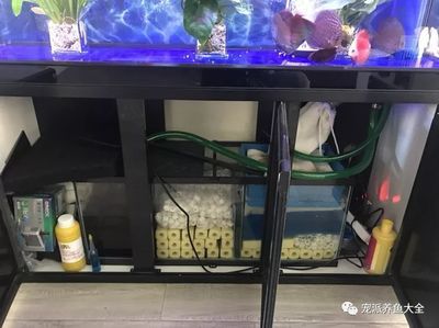 魚缸過濾濾材的擺放順序和注意事項：魚缸過濾濾材擺放順序及注意事項