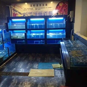 生態(tài)魚缸的設(shè)計原理是什么？：無錫鴻顏水族生態(tài)魚缸設(shè)計原理生態(tài)魚缸的設(shè)計原理 魚缸百科 第3張