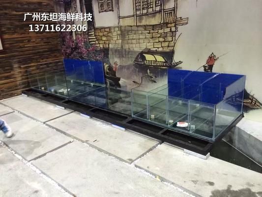 鳳崗青苔上品花草魚缸店：東莞鳳崗青苔上品花草魚缸 魚缸百科 第2張