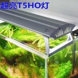 西安秦海寵物用品有限公司海霸魚缸養(yǎng)護(hù)與維護(hù)指南養(yǎng)護(hù)指南：海霸魚缸價(jià)格怎么樣