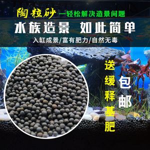 黑色背景的魚缸適合養(yǎng)多種魚類，黑魚混養(yǎng)指南黑魚混養(yǎng)指南：黑色背景的魚缸適合養(yǎng)多種魚類 魚缸百科 第3張