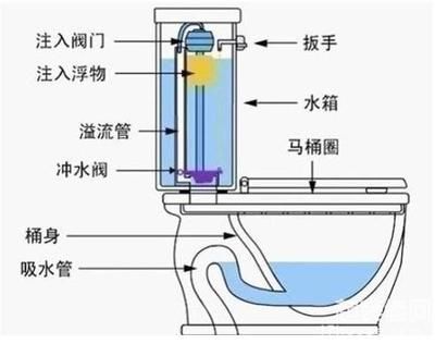 虹吸原理是一種利用液面高度差的作用力現(xiàn)象的運作機制：虹吸原理在建筑設(shè)計中的應(yīng)用 魚缸百科 第1張