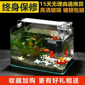 如何選擇合適的魚缸尺寸：養(yǎng)魚新手入門指南