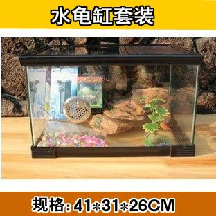 如何選擇合適的魚缸尺寸：養(yǎng)魚新手入門指南