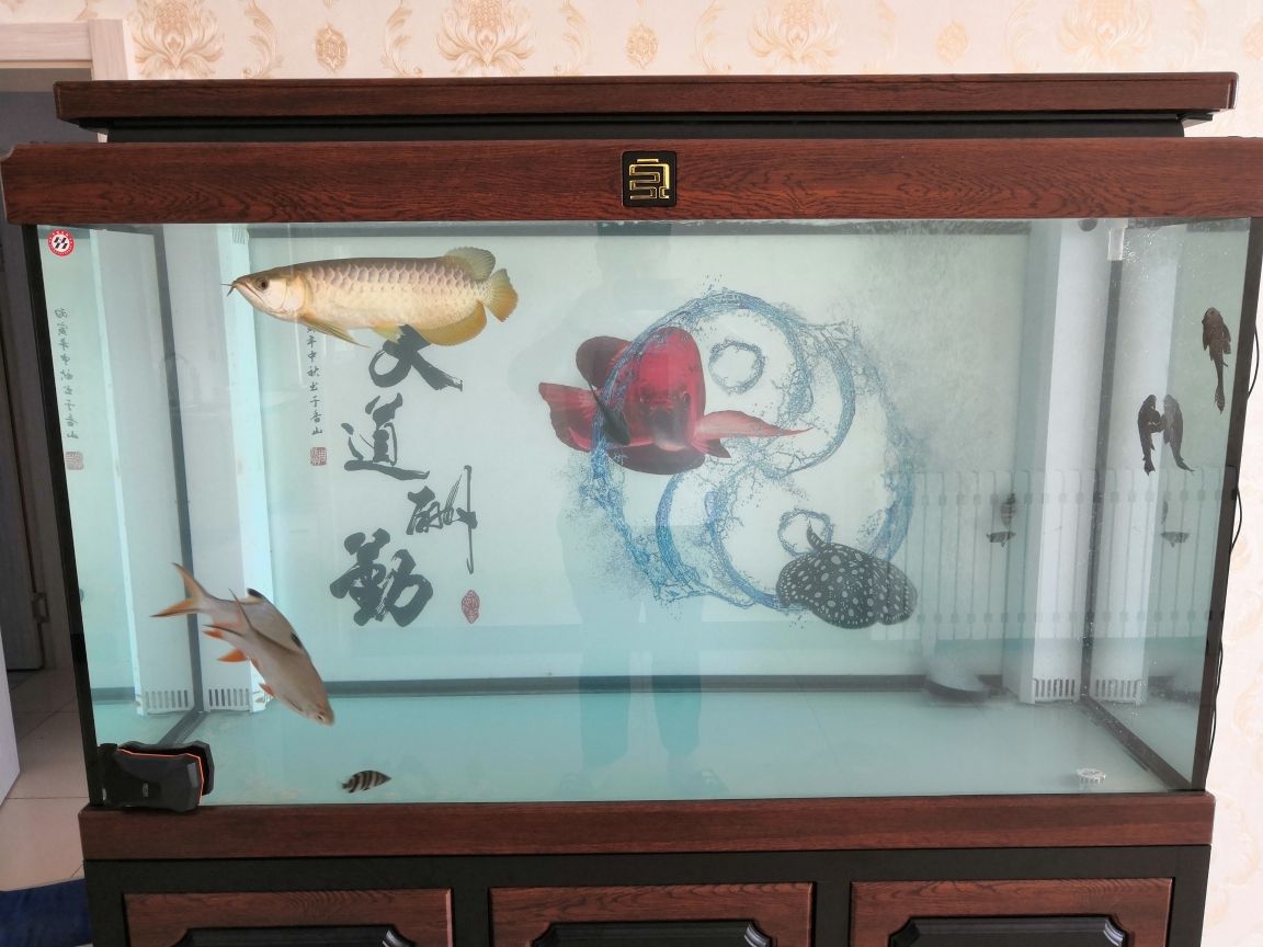 魚(yú)缸底砂的diy創(chuàng)意魚(yú)缸底砂的diy創(chuàng)意魚(yú)缸底砂：如何選擇合適的水族底砂？ 魚(yú)缸百科 第1張