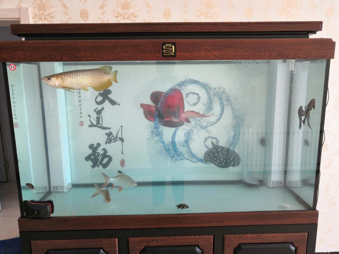 魚(yú)缸底砂的diy創(chuàng)意魚(yú)缸底砂的diy創(chuàng)意魚(yú)缸底砂：如何選擇合適的水族底砂？ 魚(yú)缸百科 第2張