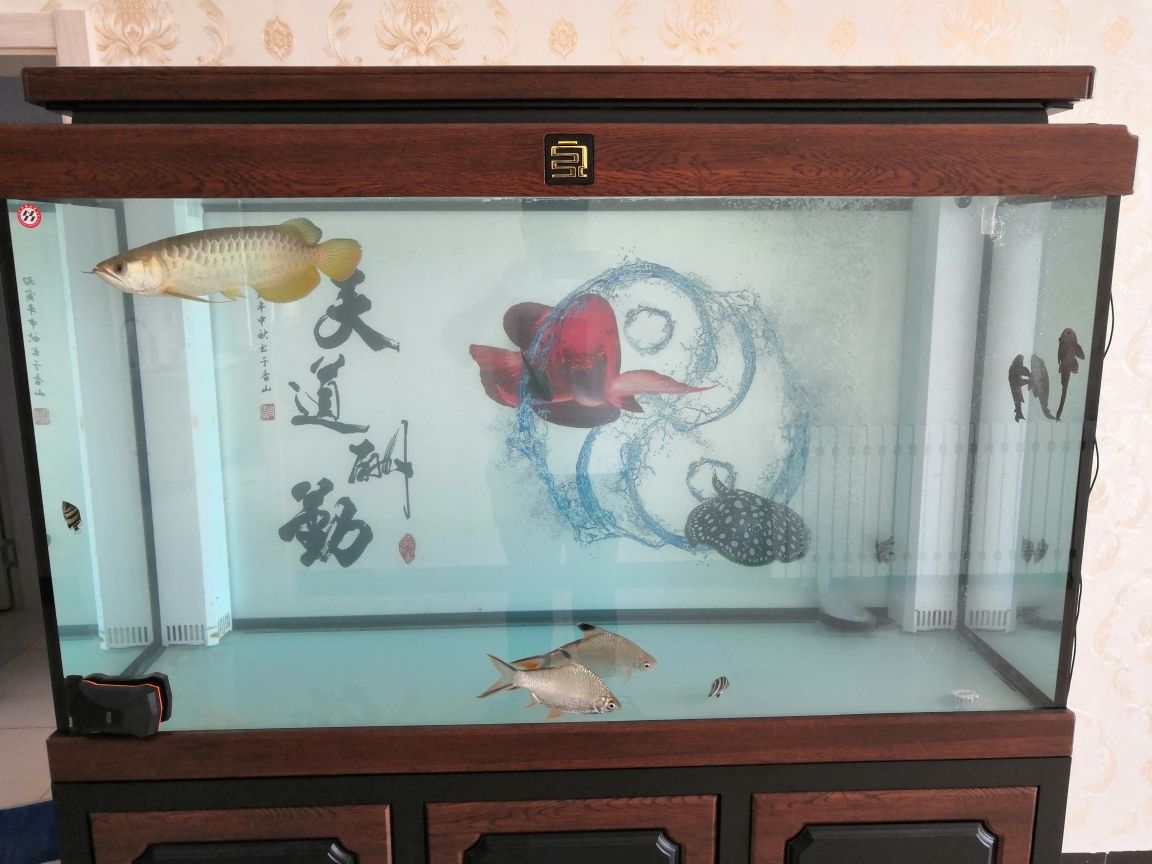 魚(yú)缸底砂的diy創(chuàng)意魚(yú)缸底砂的diy創(chuàng)意魚(yú)缸底砂：如何選擇合適的水族底砂？ 魚(yú)缸百科 第4張