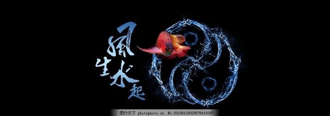 風(fēng)生水起魚缸高清背景圖推薦風(fēng)水魚缸高清背景圖：風(fēng)生水起魚缸高清背景圖怎么選 魚缸百科 第2張