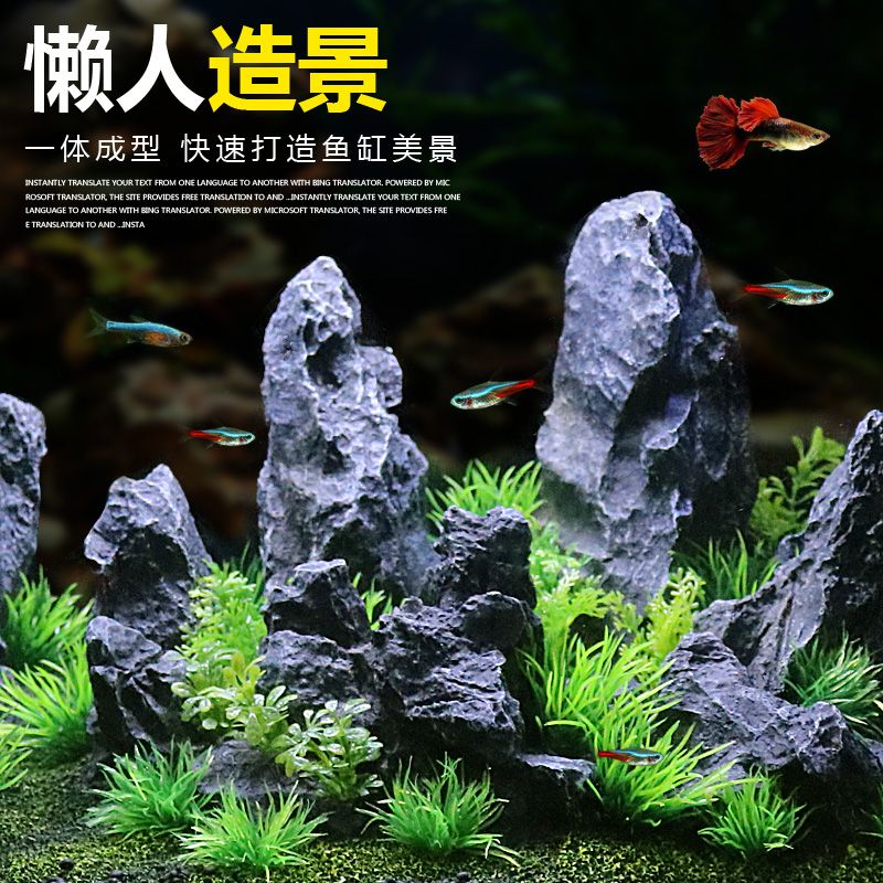 放魚缸的石頭是什么石 魚缸百科 第3張