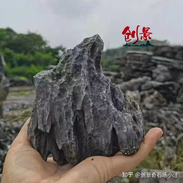 魚缸造景植物的選擇：如何選擇合適的魚缸造景石頭