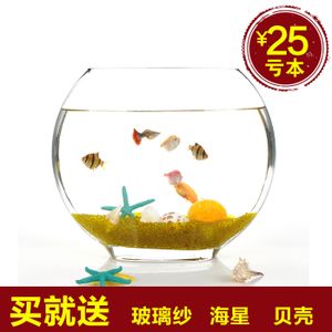 海星超白魚缸選擇：海星超白魚缸的優(yōu)勢 魚缸百科 第2張