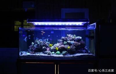 魚缸換水科學(xué)原理了解魚缸換水的科學(xué)原理了解魚缸換水的科學(xué)原理：魚缸換水的科學(xué)原理 魚缸百科 第3張