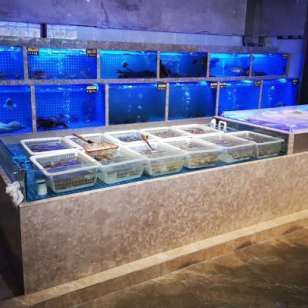 廣州特色水族店巡禮廣州特色水族店巡禮廣州特色水族店：廣州有哪些特色水族店？ 魚(yú)缸百科 第4張