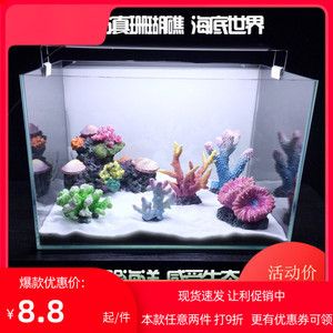 如何打造海底魚缸造景海底世界的迷你版海底魚缸造景方法：如何打造海底世界 魚缸百科 第4張