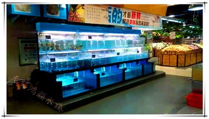 海鮮魚缸定制價格：定制海鮮魚缸價格多少-陽泉海鮮魚缸定做價格多少 魚缸百科 第3張