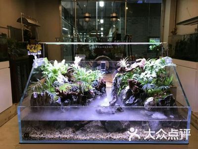 生態(tài)魚缸造景的發(fā)展趨勢是什么？：海洋生態(tài)魚缸造景圖技術(shù)的發(fā)展趨勢隨著科技的進(jìn)步 魚缸百科 第2張