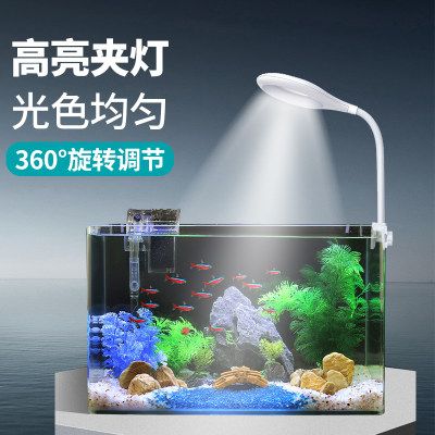 魚缸照明燈的選購(gòu)技巧：水族照明燈安裝步驟和注意事項(xiàng)水族照明燈的選購(gòu)技巧