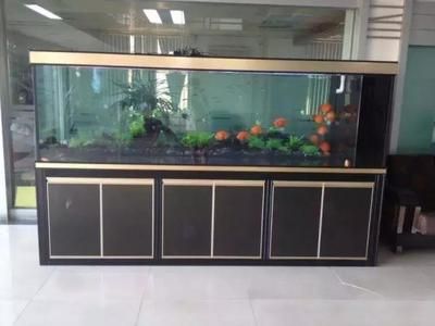 選擇定制魚缸還是成品魚缸：定制魚缸與成品魚缸之間的抉擇具體取決于用戶的個(gè)人需求和偏好