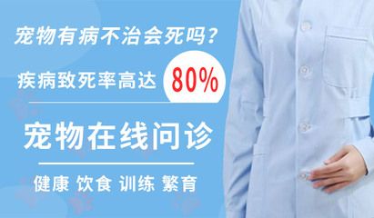 魚缸氣泡的科學解析：觀賞魚疾病預防手冊 魚缸百科 第2張