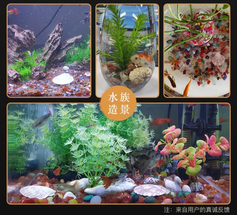 花盆魚缸造景設(shè)計(jì)效果圖：花盆魚缸造景效果圖是一種自然和諧的水下生態(tài)系統(tǒng) 魚缸百科 第3張