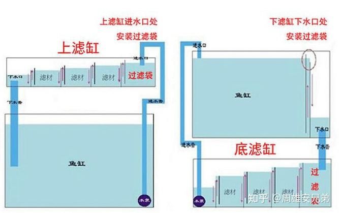 魚缸水循環(huán)的重要性：“底濾魚缸上水口應該在什么位置”最佳位置分析 魚缸百科 第4張