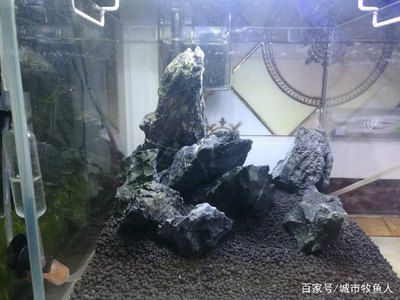 方形小魚缸造景需要注意哪些問題：方形小魚缸的造景技術(shù) 魚缸百科 第3張